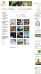 Mobile Screenshot of odi-n.ru